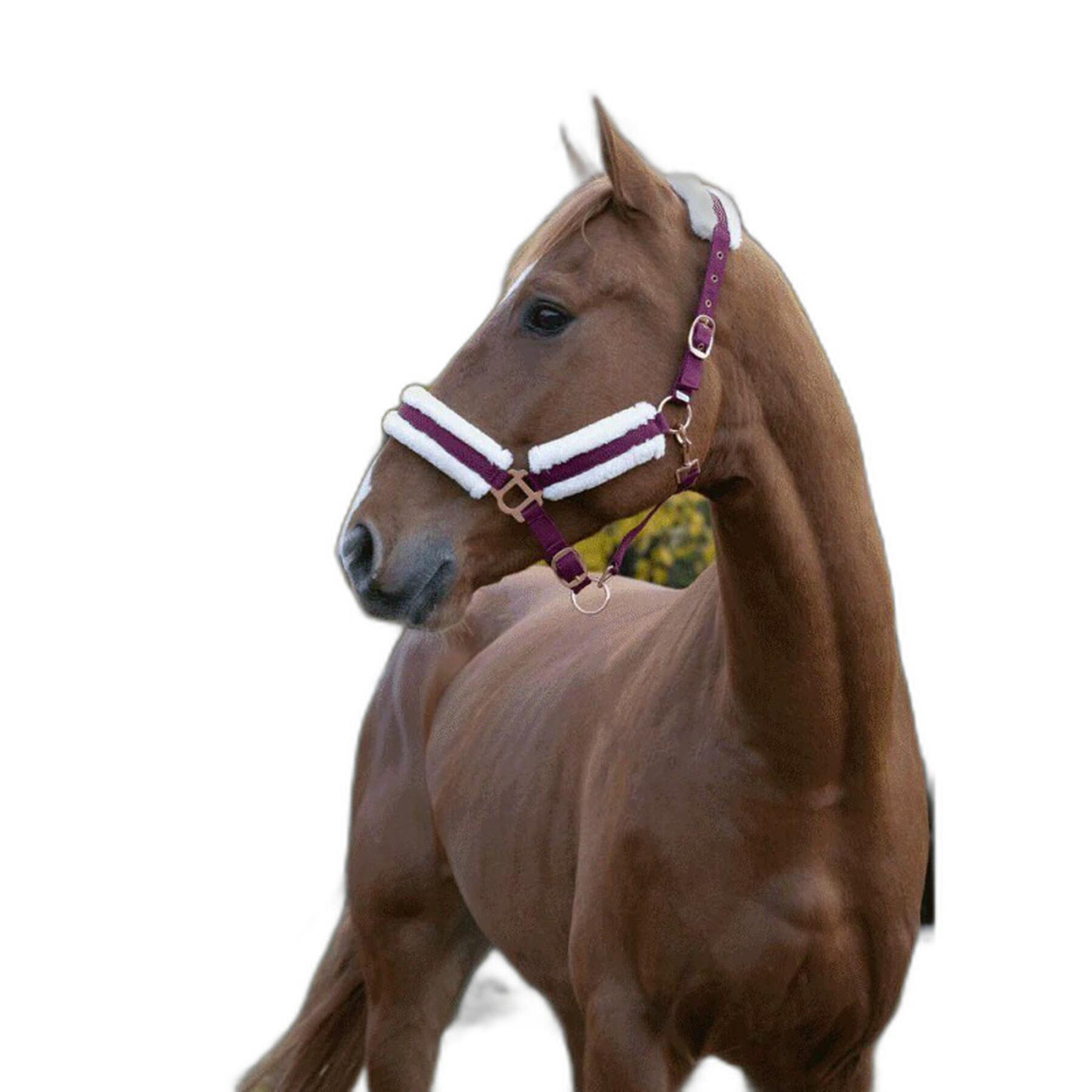 Licol et longe Rosegold NXT - Harry's Horse Tailles article cheval Poney  Couleurs article Bleu Marine