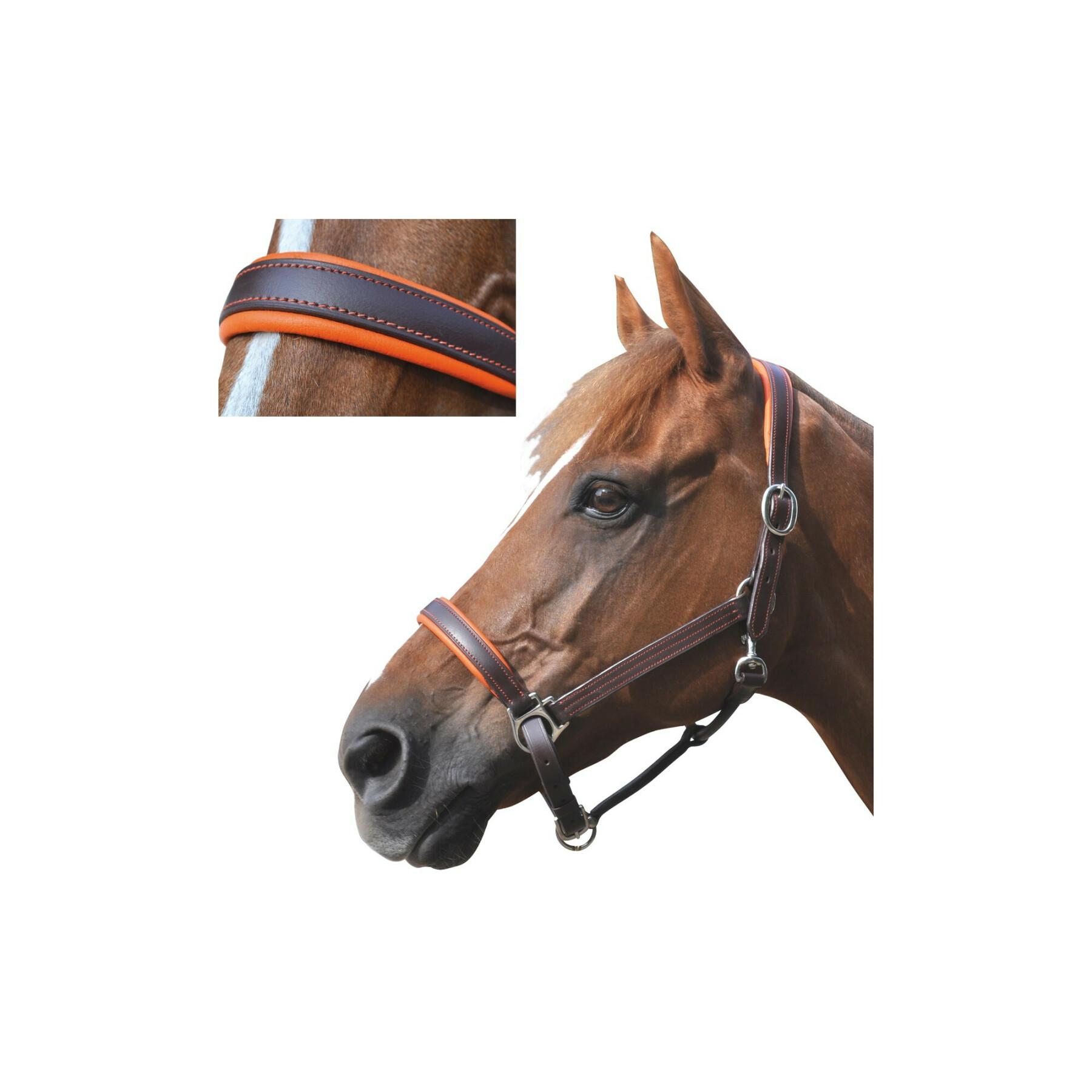 Licols double épaisseur confortable pour cheval - Equipement du cheval -  Ukal