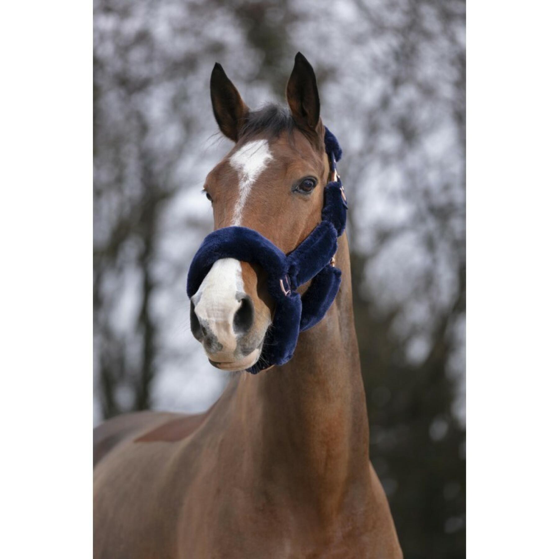 Licol pour cheval Equithème Teddy rose gold