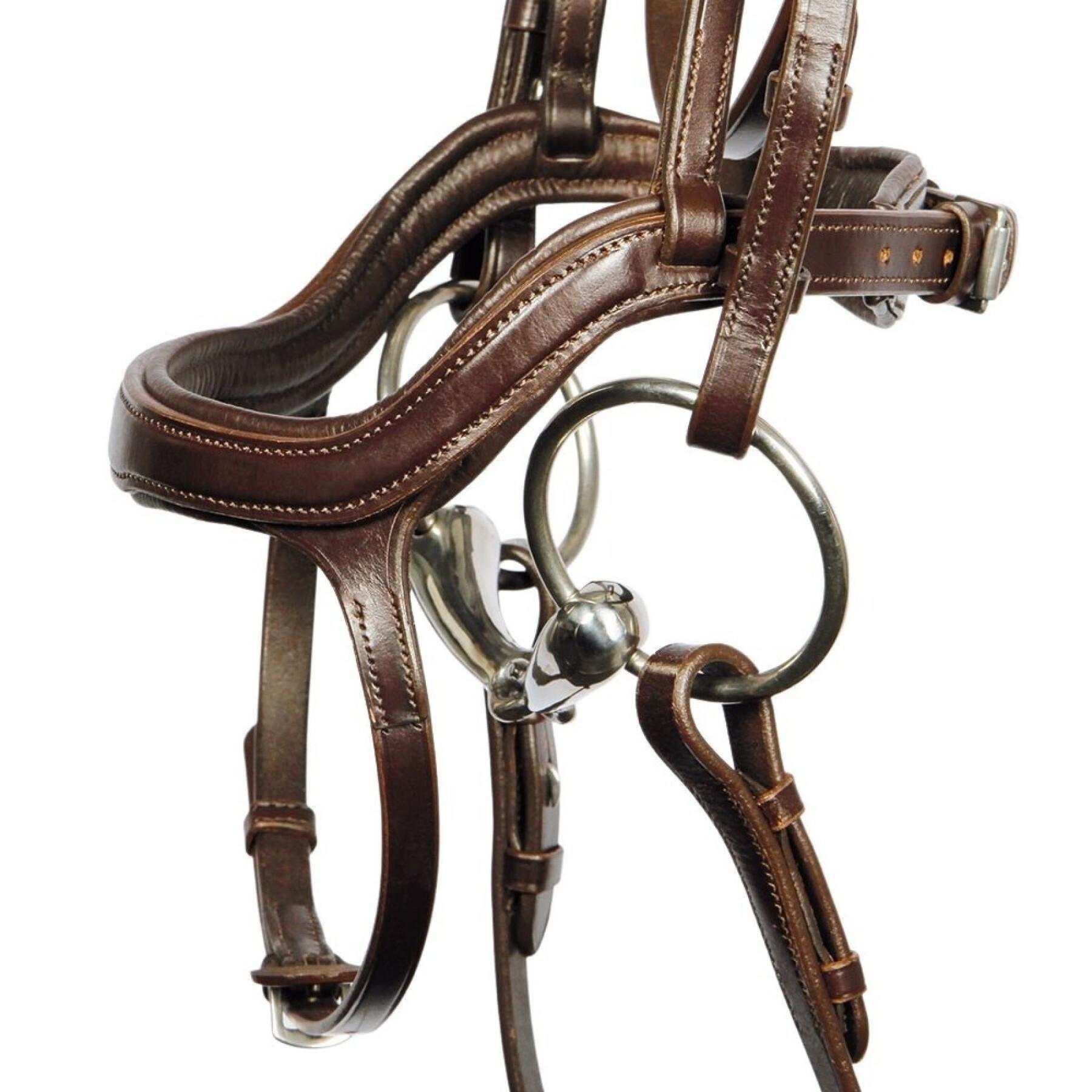 Bridons équitation pour cheval Harry's Horse Anatomic