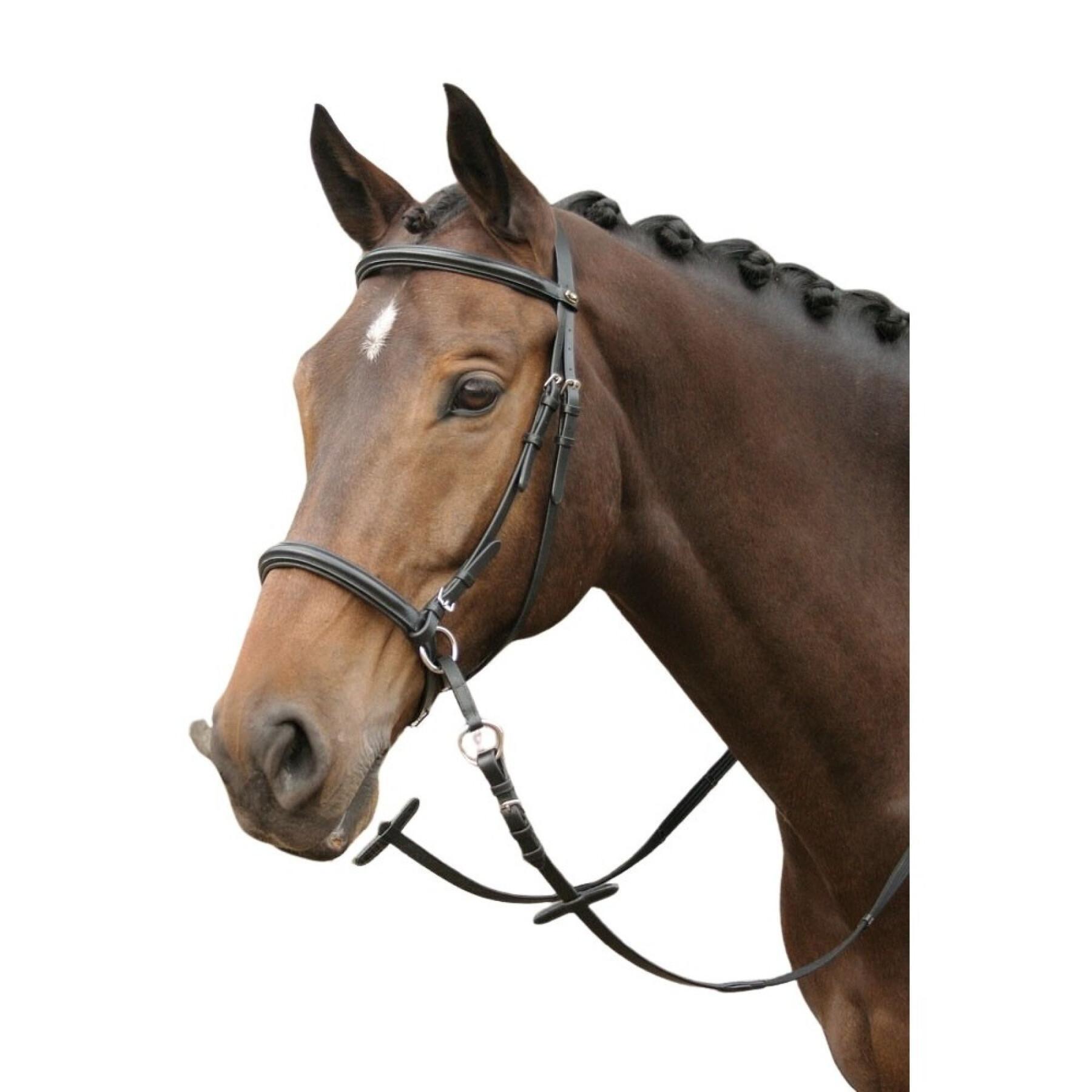 Bridons équitation pour cheval Harry's Horse Bitless