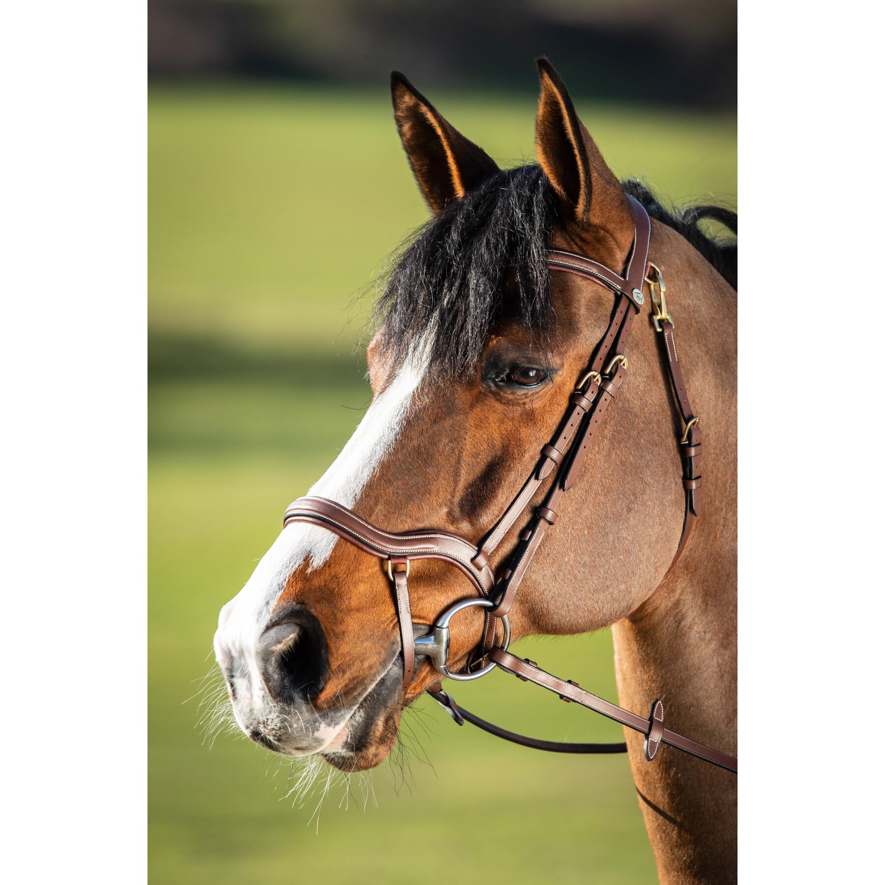 Tapis chevaux HFI - Boutique Equitation