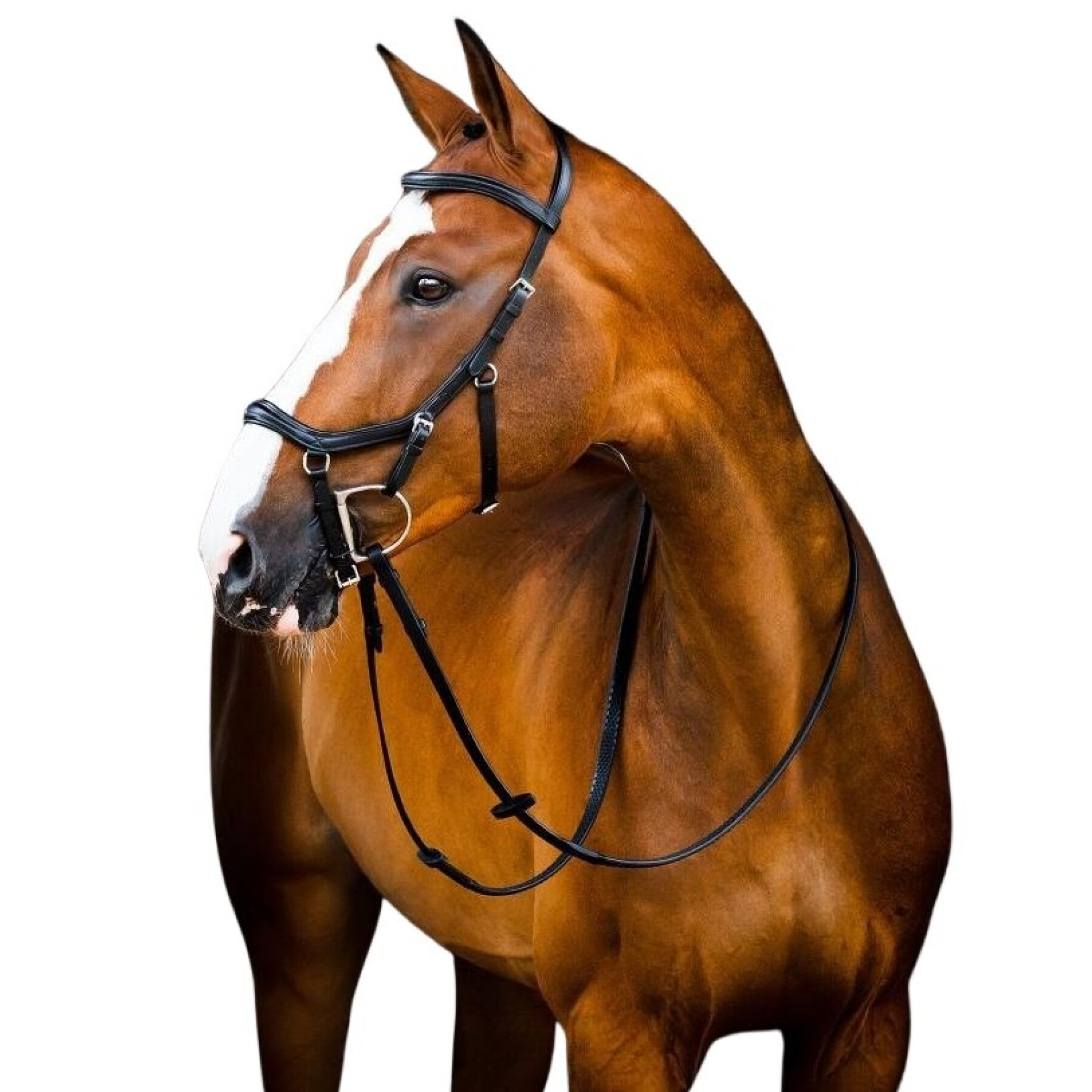 Bridons équitation Horseware Micklem 2 Deluxe
