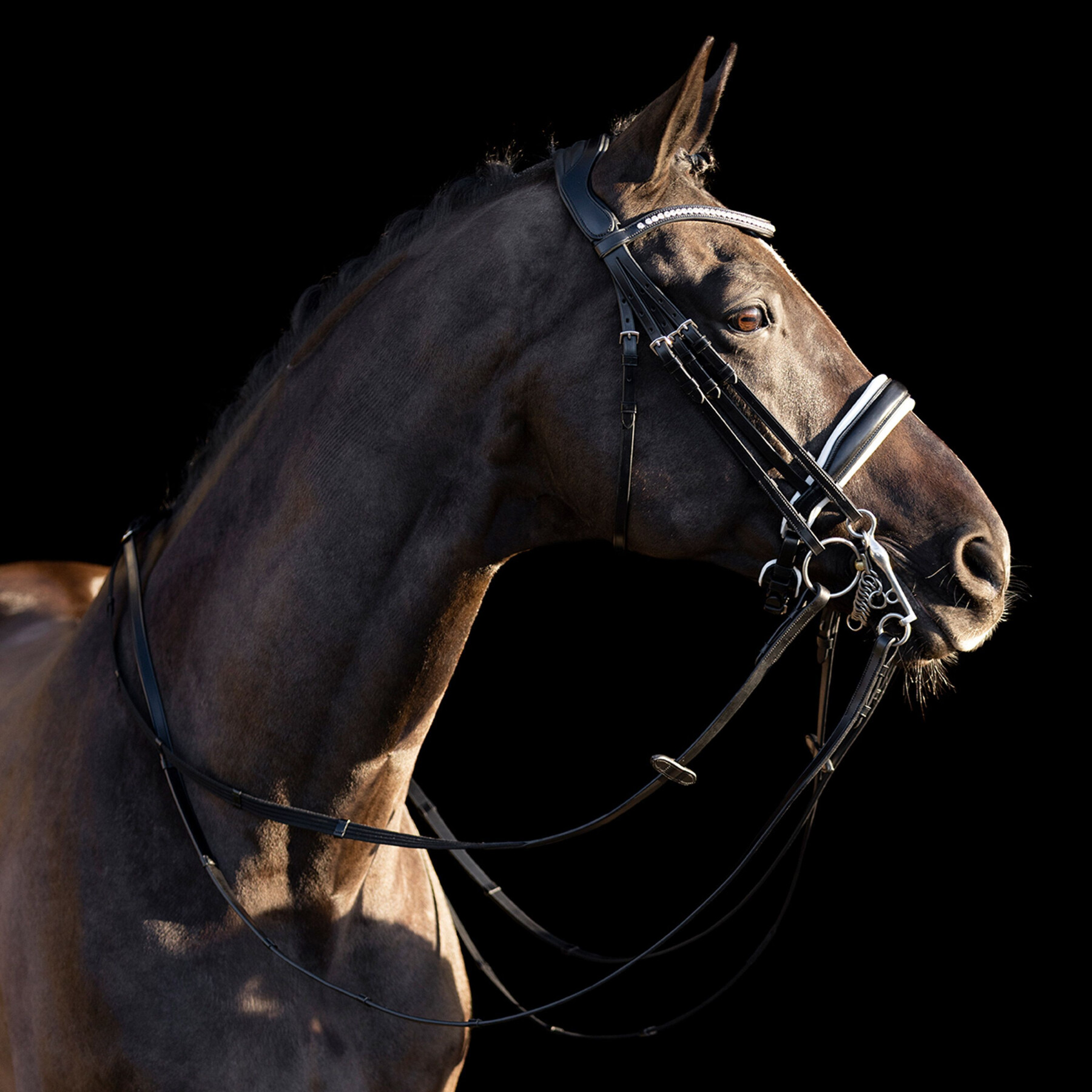Bridons équitation HV Polo Legacy deluxe