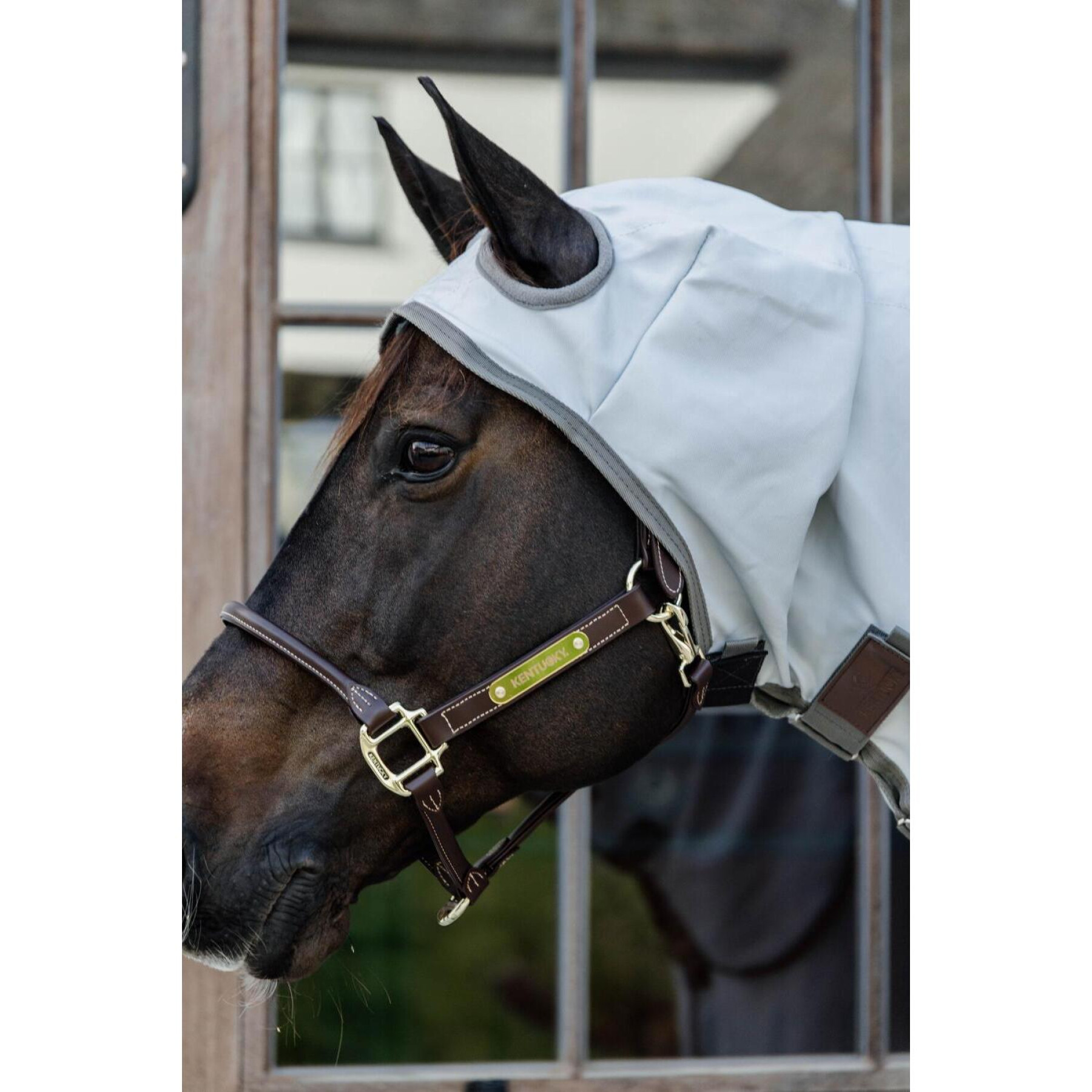 Couverture anti-mouches pour cheval avec couvre-cou Kentucky