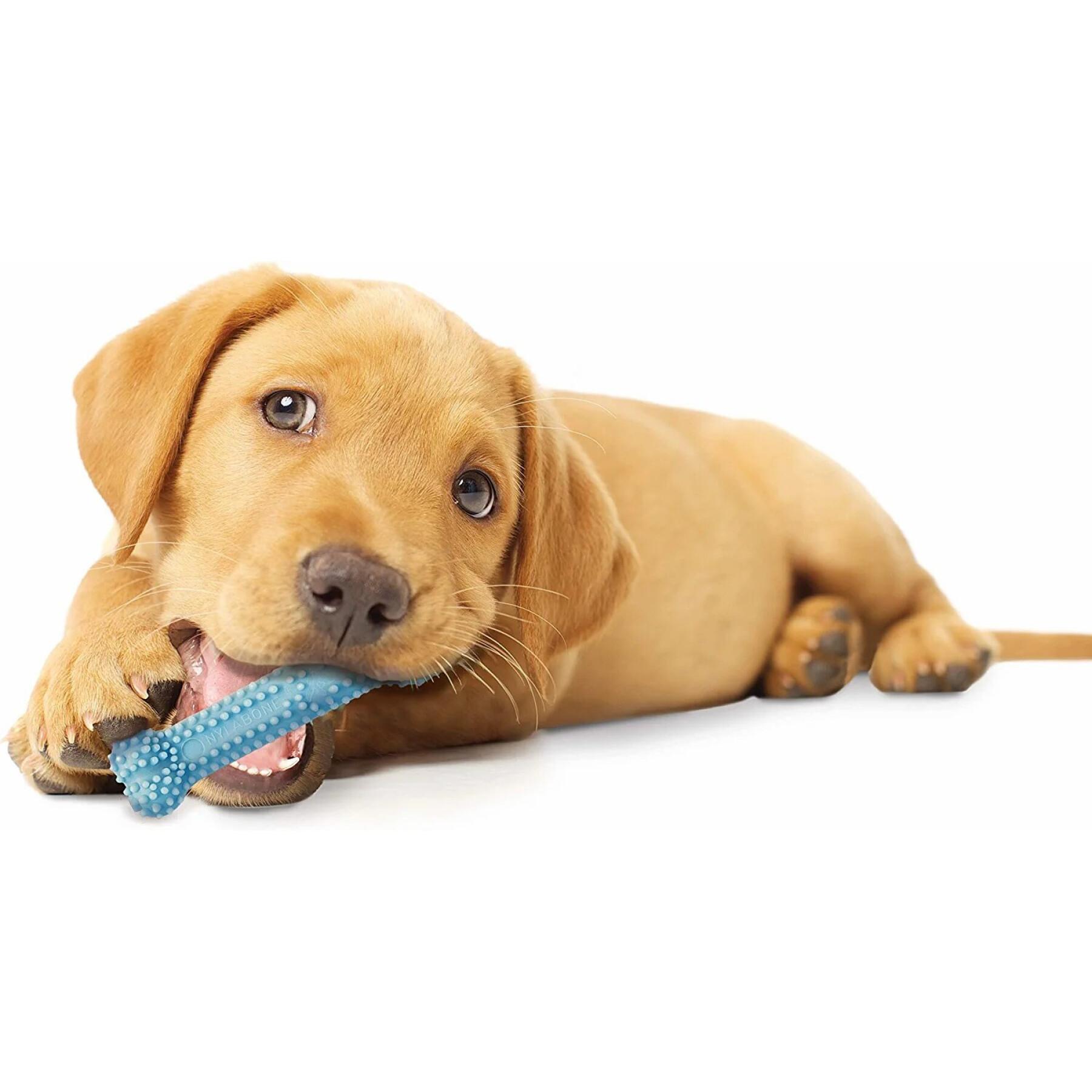 Jouet pour chien Nylabone Puppy Teething Dental Chew - Pink Chicken XS