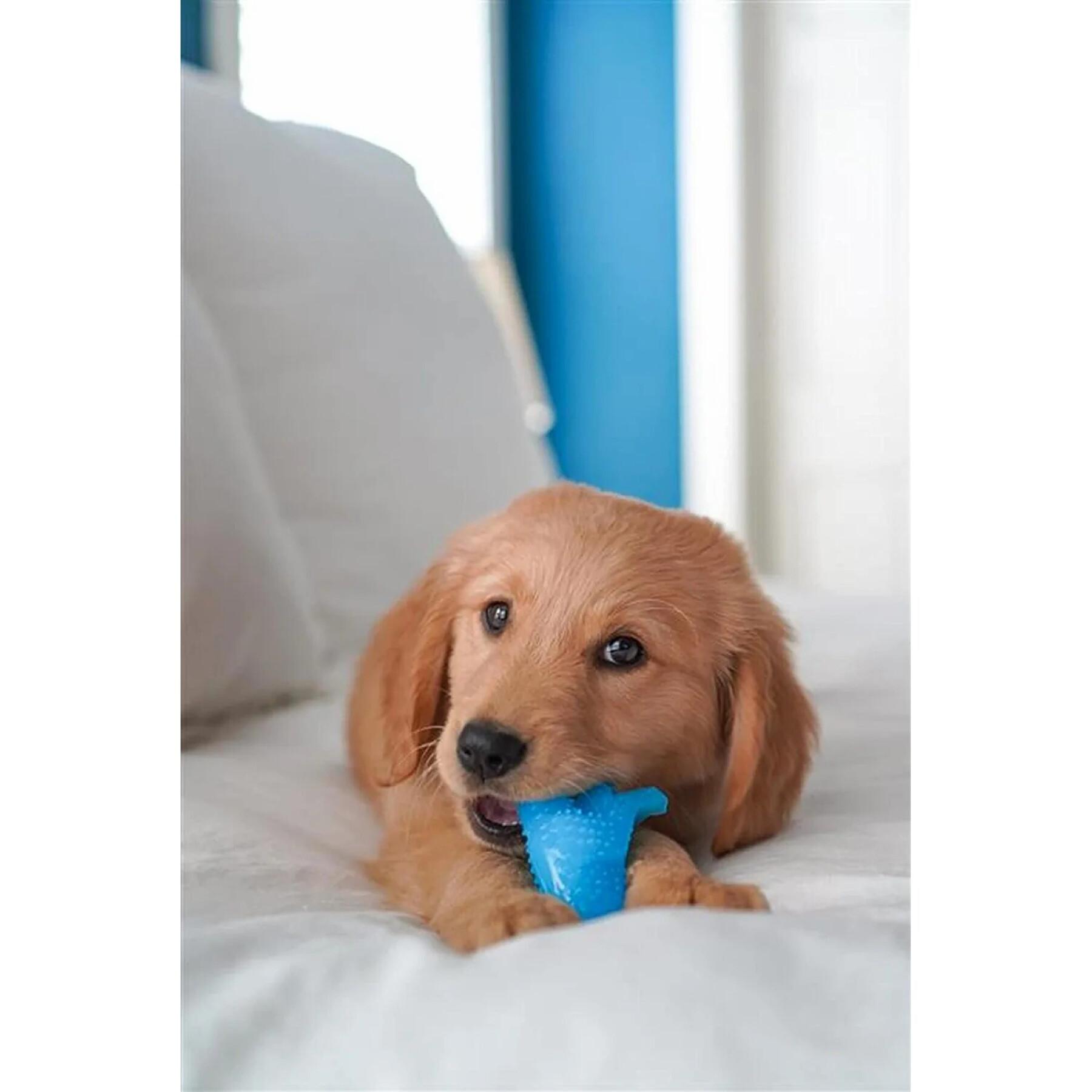 Jouet pour chien Nylabone Puppy Teething Dental Dino - Chicken Flavour S