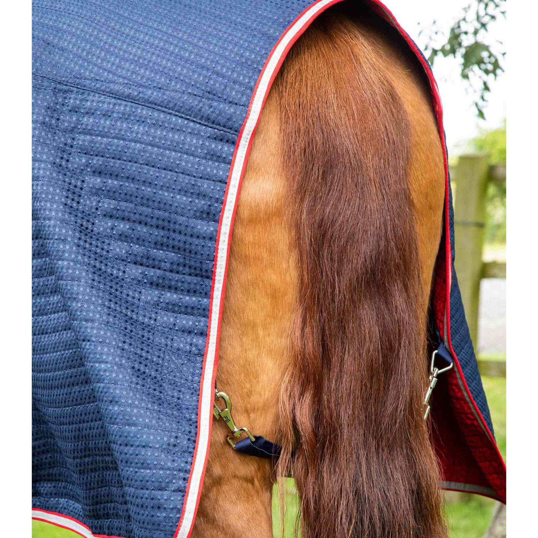 Couverture rafraichissante pour cheval Premier Equine Combo Dry-Tech