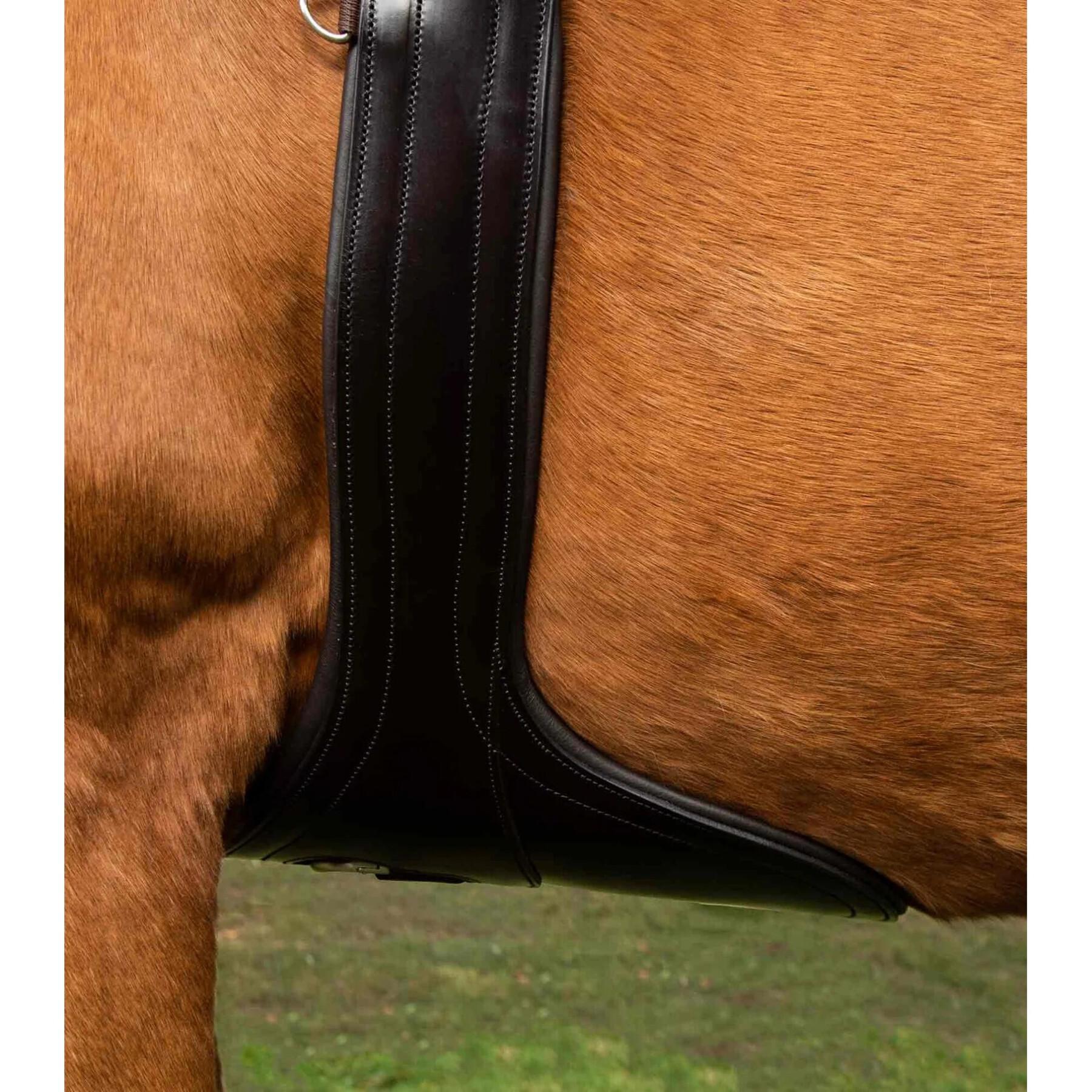Sangle bavette équitation anatomique en cuir Premier Equine Lizzano