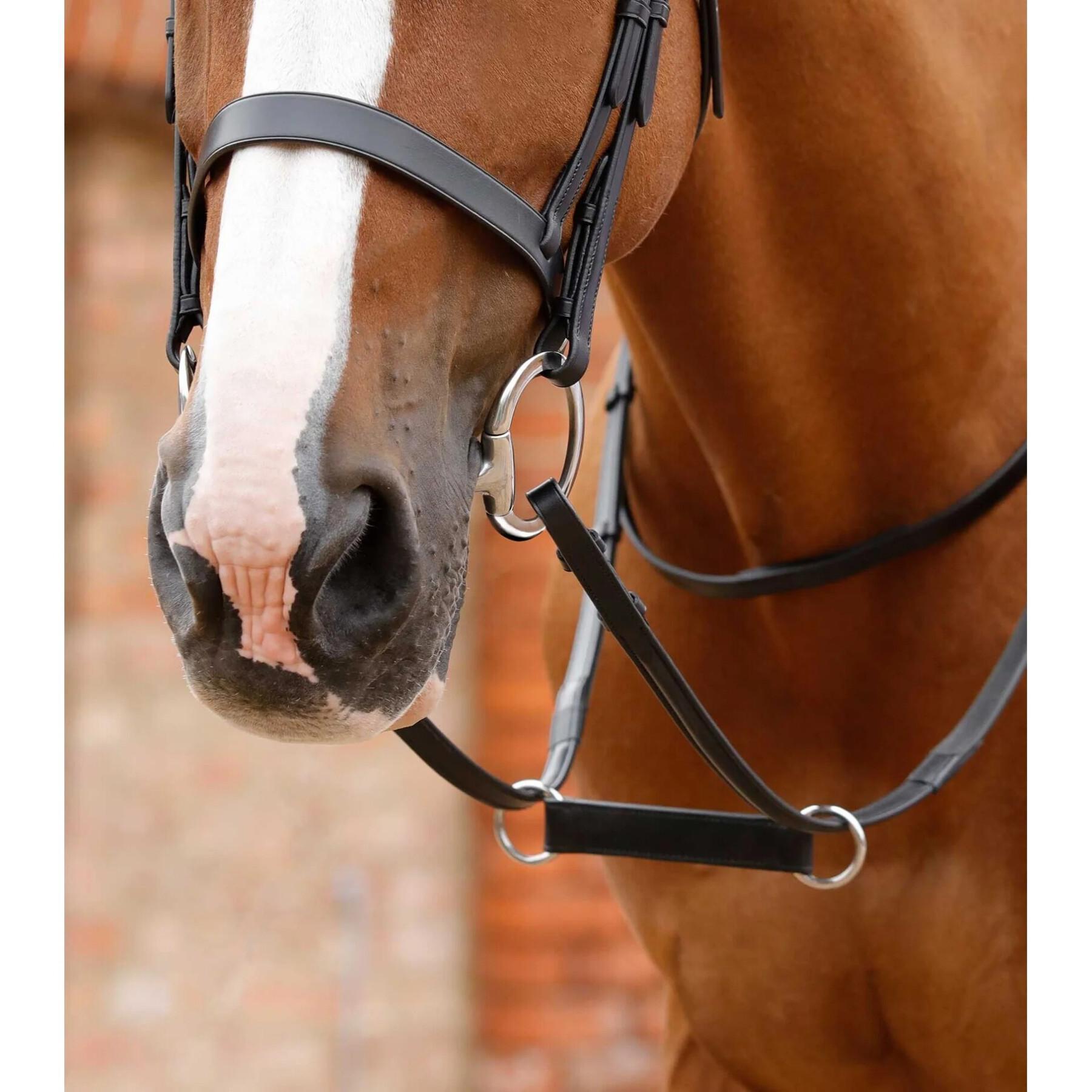 Martingale pour cheval Premier Equine Esperia Irish
