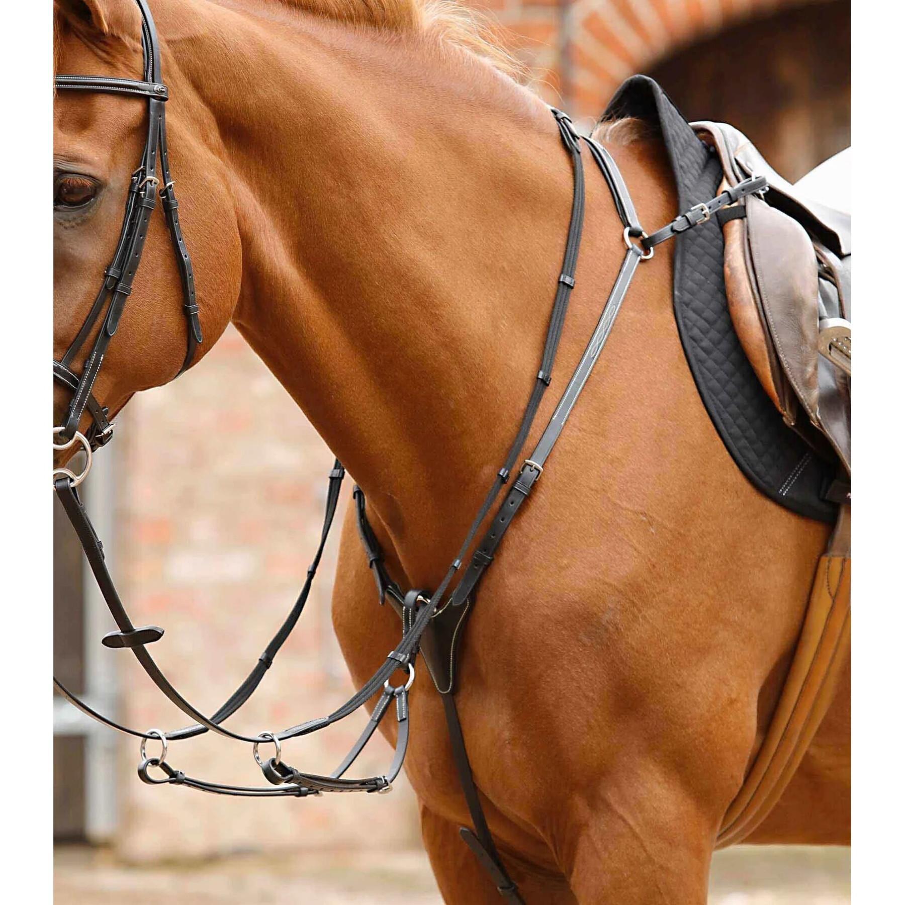 Collier de chasse pour cheval Premier Equine Norbello
