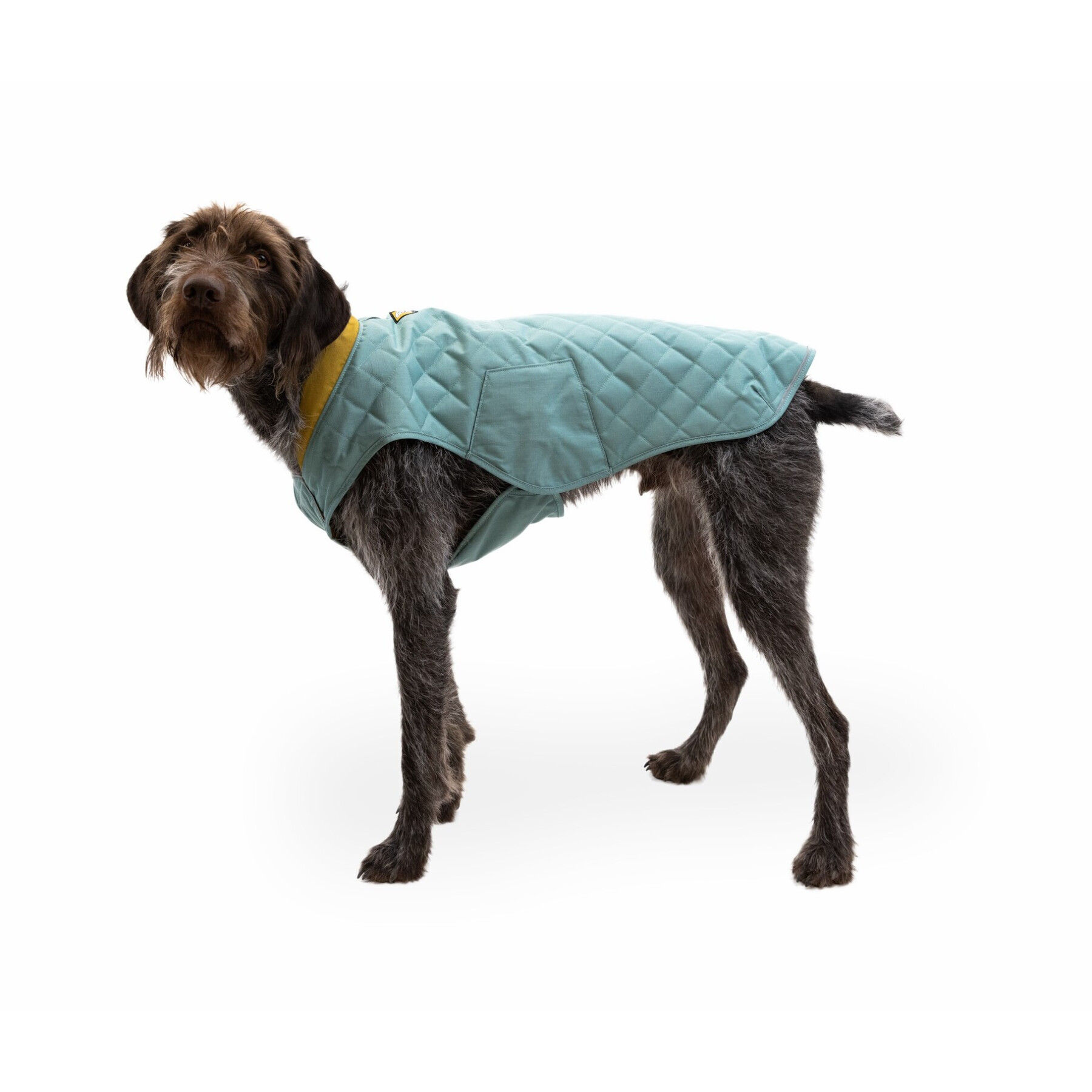 Manteau pour chien Ruffwear Stumptown