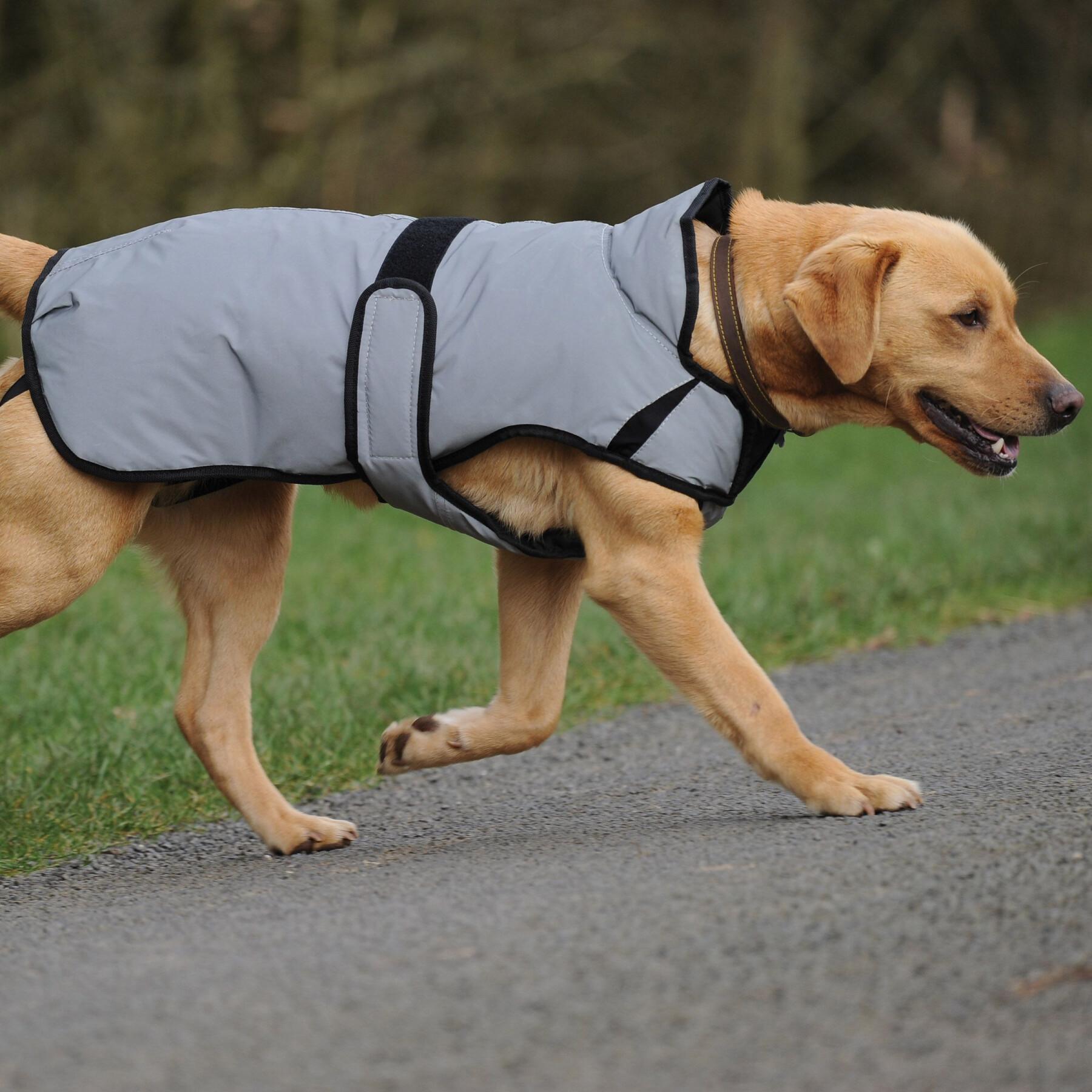 Manteau pour chien réfléchissant Weatherbeeta Comfitec moyen
