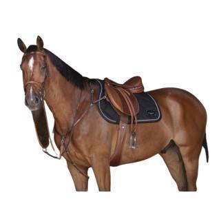 Huile de lin pour cheval Rekor - Digestion - Compléments - Cheval au repos