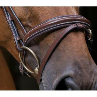 Bridons équitation pour cheval Eric Thomas PRO "Strass"