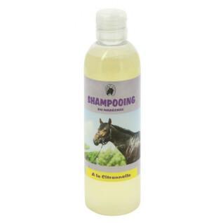 Shampoing pour cheval ODM Maréchal