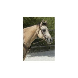 Bridons équitation pour cheval Westride Franck Perret colorado