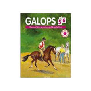 Livre Manuel d'équitation pour les jeunes cavaliers - Galops 5 à 7 Amphora  - Livres - Accessoires - Cavaliers