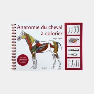 Livre anatomie du cheval à colorier Ekkia