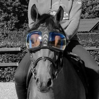 Verres de rechange lunettes cheval Equick eVysor