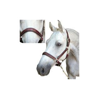 Licol pour cheval Lexington Denver