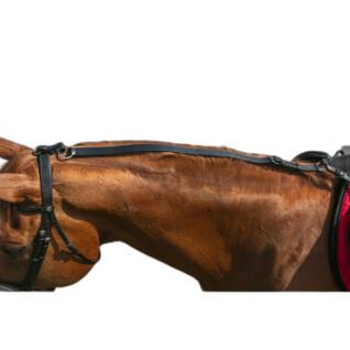 Enrênement élastique pour cheval anti-basculement Norton Pro