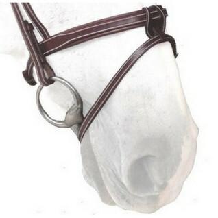 Muserolle cheval Silver Crown Flash