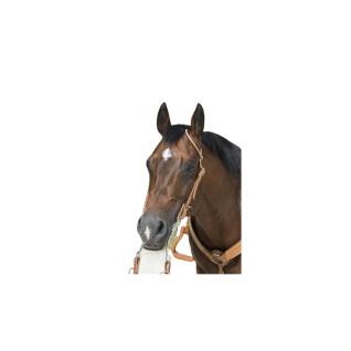 Bridons équitation pour cheval Westride Franck Perret 1 oreille