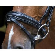 Bridons équitation pour cheval pur-sang Eric Thomas Pro Design