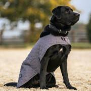 Manteau chien Back on Track haze collection 25