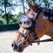 Lunettes cheval eQuick eVysor