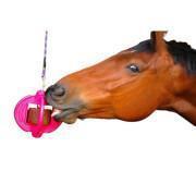 Jouet équitation Bizzy Horse Ball