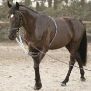 Enrênement pour longe cheval Canter Soft Rope