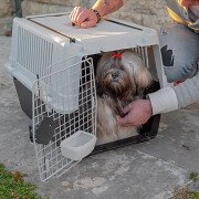 Cage de transport pour chien Ferplast Atlas 40