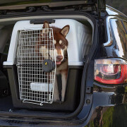 Cage de transport pour chien Ferplast Atlas 60