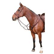 Collier de chasse élastique pour cheval Harry's Horse