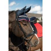 Bonnet pour cheval Harry's Horse Denici Cavalli