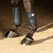 Protège-genoux pour cheval Harry's Horse Beenbeschermers Flextrainer Air mesh