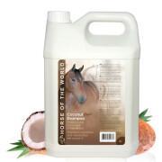 Shampoing coconut pour cheval Horse Of The World 5 l