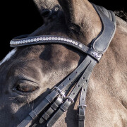 Bridons équitation HV Polo Legacy deluxe
