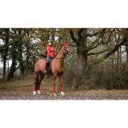 Tapis de dressage pour cheval LeMieux Loire Classic