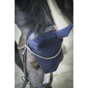 Bonnet pour cheval Paddock Sports Pro Coton Cs