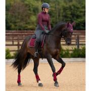 Guêtres pour cheval Premier Equine Air-Tech Sports Medecine