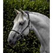 Licol pour cheval anatomique roulé cuir Premier Equine Hennaroso
