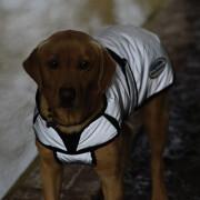 Manteau pour chien réfléchissant Weatherbeeta Comfitec moyen