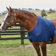 Protège-épaule extensible pour cheval Weatherbeeta